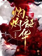 灼灼韶华锦衣幻羽多少钱