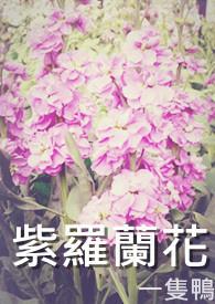 紫罗兰花冬天会不会冻死