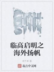 临高启明后续