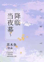 当夜幕降临作文450字