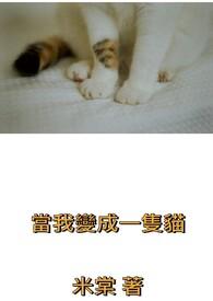 当我变成一只猫在玩耍的句子怎么写