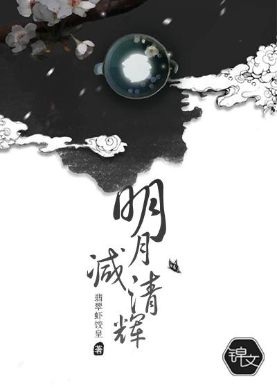 明月流清辉