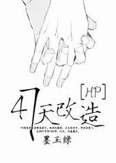 hp 四十七天改造