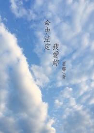 命中注定我爱你 歌曲