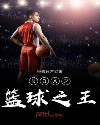 nba之王txt