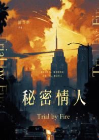 秘密情人trial by fire(1995)