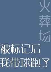 被标记后我带球跑了简介