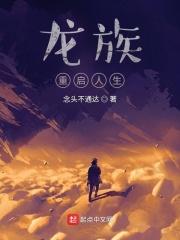 龙族重启人生百度txt