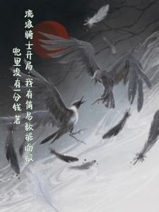 流浪的骑士怎么获得