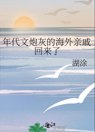 年代文炮灰的海外亲戚回来了湖涂