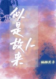 似是故人来胡芦丝