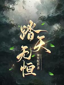 踏天无痕无弹窗