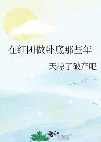 穿越海贼王红发团宠