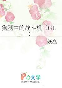 419狗腿中的战斗机GL简介